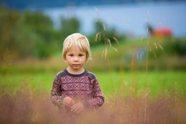 美しい幼児の子供 魔法の布のブロンドの少年 花とフィヨルドに沿ってノルウェーの広大な絵の自然の肖像画を持っています ロフトテンの家族の休暇で幸せな子供時代 ノルウェー — ストック写真
