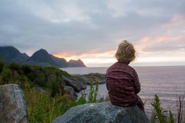 Cute child, enjoying amazing view from a rock in Husoy on Senja island, North Norway. Amazing beautiful landscape and splendid nature in scandinavian country