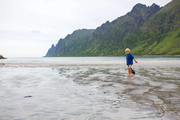 Children Playing Ersfjords Beach Senja Summer Day Running Jumping Sand — Zdjęcie stockowe