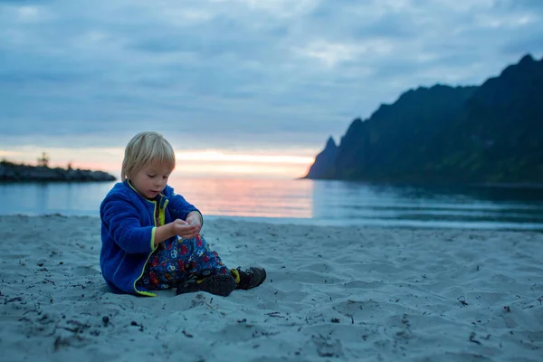 Children Enjoying Sunset Ersfjord Beach Senja Island Beautiful Landscape View — Fotografia de Stock