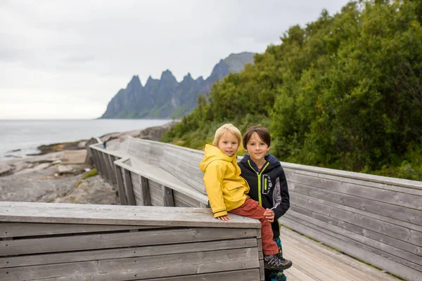 Child Tungeneset Senja Norway Enjoying Beautiful View Fjords — Stok fotoğraf