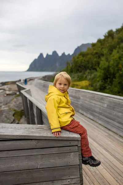 Child Tungeneset Senja Norway Enjoying Beautiful View Fjords — Stok fotoğraf