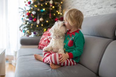 Küçük tatlı bir çocuk. Noel 'de Noel ağacının önünde beyaz bir köpeğe sarılıyorsun.