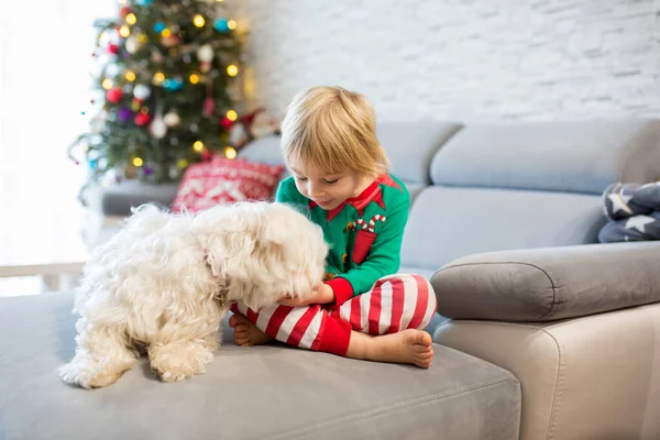 Küçük tatlı bir çocuk. Noel 'de Noel ağacının önünde beyaz bir köpeğe sarılıyorsun.