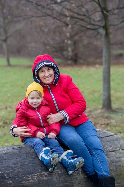 在冬季的一天 祖母和孩子在公园里 享受着在一起的时光 — 图库照片