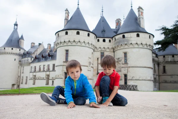 Lindo Retrato Dos Niños Lindos Hermanos Varones Frente Castillo Chaumont — Foto de Stock