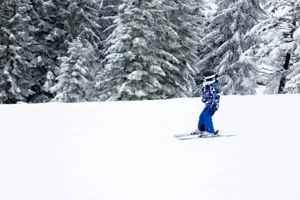 Schattig Kleuter Kind Jongen Skiën Gelukkig Oostenrijkse Apls Een Zonnige — Stockfoto