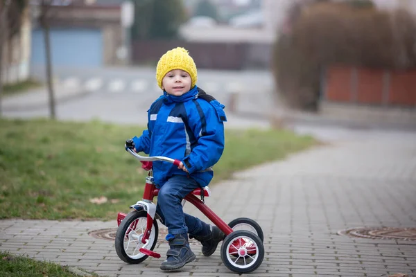 Kleinkind Kleines Dreirad Fahren Park Winterzeit — Stockfoto