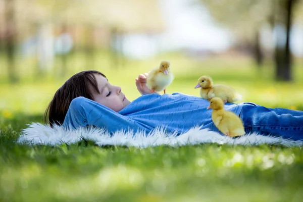 Söta Lilla Barn Pojke Med Ankungen Våren Leka Tillsammans Liten — Stockfoto