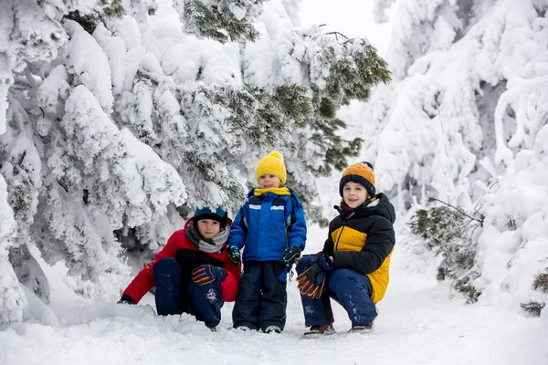 Γλυκά Χαρούμενα Παιδιά Αδέλφια Παίζουν Βαθύ Χιόνι Στο Δάσος Παγωμένα — Φωτογραφία Αρχείου