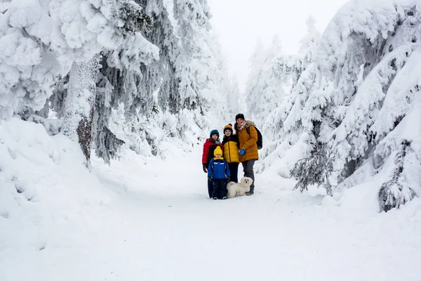 Lyckliga Familj Häxbarn Vandring Bergen Vinter Massor Snö Vacker Vinterskog — Stockfoto