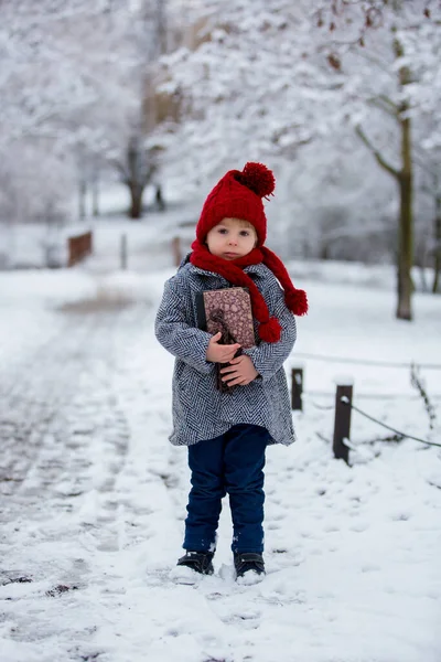 Ребенок Симпатичный Мальчик Играющий Снежном Парке Зимой Пасмурный День — стоковое фото