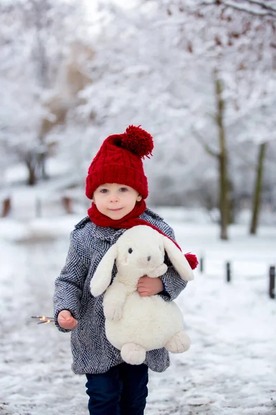 Όμορφο Μικρό Παιδί Χαριτωμένο Αγόρι Παίζει Χιονισμένο Πάρκο Χειμώνα Συννεφιασμένη — Φωτογραφία Αρχείου