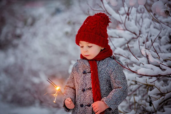 Vackert Småbarn Söt Pojke Leker Snöig Park Vintertid Molnig Dag — Stockfoto