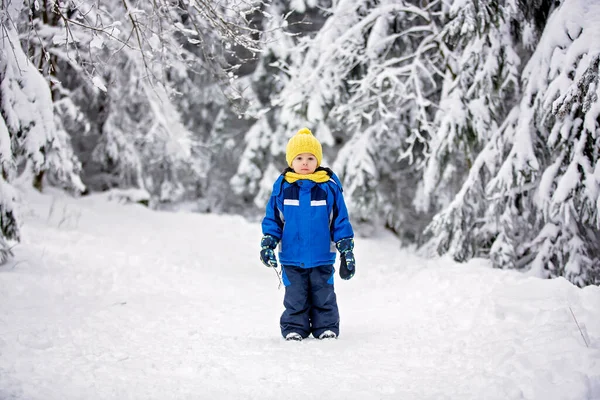 Счастливый Ребенок Играющий Глубоком Снегу Лесу — стоковое фото