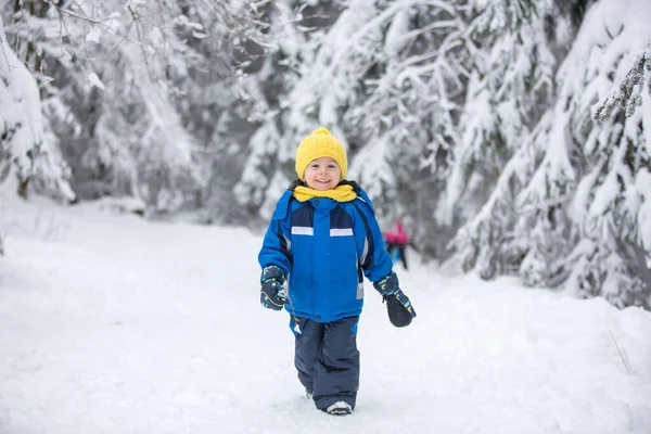 Sött Lyckligt Barn Leker Djup Snö Skogen — Stockfoto