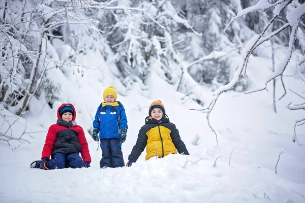 Dolci Bambini Felici Fratelli Giocare Nella Neve Profonda Nella Foresta — Foto Stock