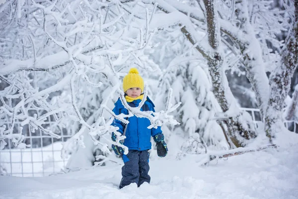 Doce Criança Feliz Brincando Neve Profunda Floresta — Fotografia de Stock