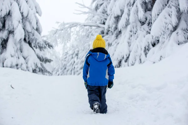 Sött Lyckligt Barn Leker Djup Snö Skogen — Stockfoto