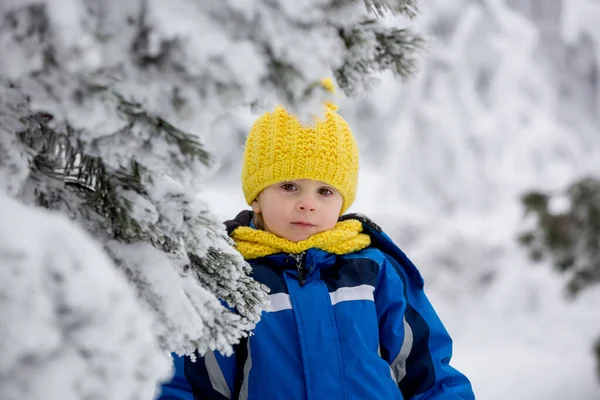 Γλυκό Χαρούμενο Παιδί Που Παίζει Βαθύ Χιόνι Στο Δάσος — Φωτογραφία Αρχείου