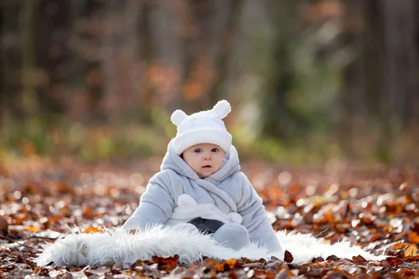 Маленький Хлопчик Сидить Білому Хутрі Лісі Осінь Зима — стокове фото