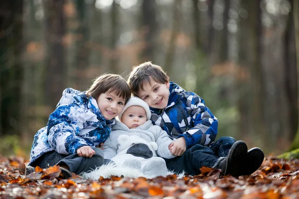 Портрет Трьох Хлопчиків Братів Лісі Осінній Зимовий Час — стокове фото