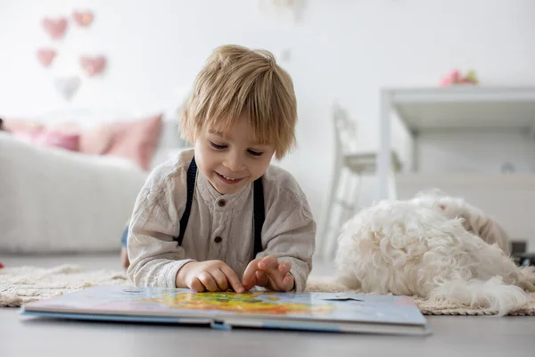 Cute Blond Preschool Child Blond Boy Pet Maltese Dog Reading — Stock Photo, Image