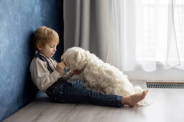 Cute Blond Preschool Boy Sitting Floor Pet Dog Punished Mischief — Stock Photo, Image