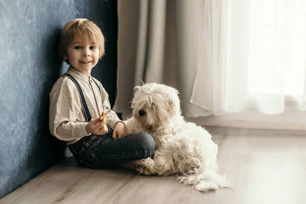Cute Blond Preschool Boy Sitting Floor Pet Dog Punished Mischief — Stock Photo, Image