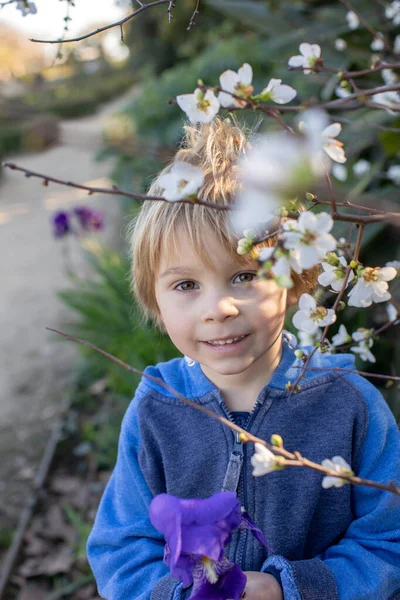 Дитина Хлопчик Малюк Тримаючи Квітку Позувала Парку Барселоні Іспанія Хлопцю — стокове фото