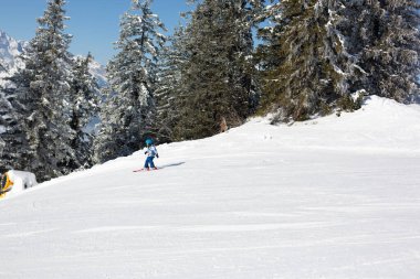 Tatlı anaokulu çocuğu, evlat, güneşli bir günde Avusturya Apls 'ında mutlu bir şekilde kayak yapıyor.