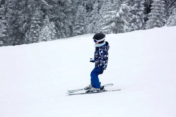 Симпатичный Ребенок Дошкольного Возраста Мальчик Катание Лыжах Счастливо Австрийских Apls — стоковое фото