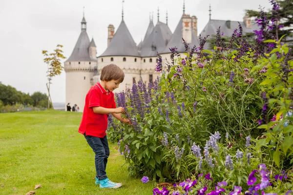 可爱的男孩在肖蒙城堡庭院 微笑在照相机 — 图库照片