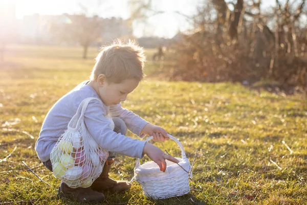 Милий Маленький Хлопчик Збирає Великодні Барвисті Яйця Кошику Парку Весна — стокове фото