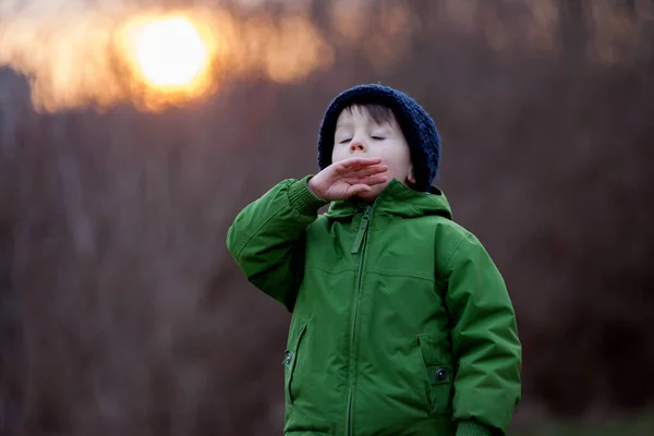 帽子をかぶったかわいい男の子の冬の肖像画 日没時間の晴れた日の屋外 — ストック写真