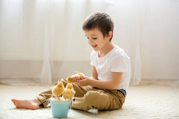 Criança Doce Bonito Menino Preshcool Brincando Com Filhotes Casa Filhotes — Fotografia de Stock