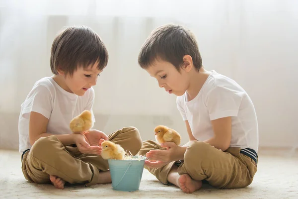 Zwei Süße Kleine Kinder Vorschulkinder Brüder Die Hause Mit Kleinen — Stockfoto