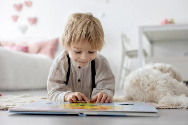 Cute Blond Preschool Child Blond Boy Pet Maltese Dog Reading — Stock Photo, Image