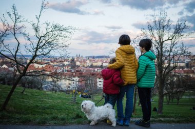 Mutlu çocuklar, kardeşlerim, çocuklar, akşamları Prag 'ı ziyaret etmek, evcil köpeğinizle parkta yürümek.