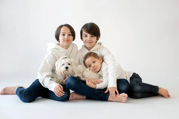 Bonito Criança Elegante Irmãos Mais Velhos Meninos Com Camisas Brancas — Fotografia de Stock