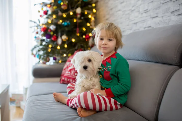 Мила Дитина Малятко Хлопчик Обіймаючи Білого Мальтійського Собаку Вдома Різдво — стокове фото