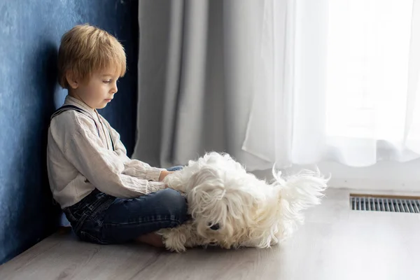 Cute Blond Preschool Boy Sitting Floor Pet Dog Punished Mischief — Stock Photo, Image
