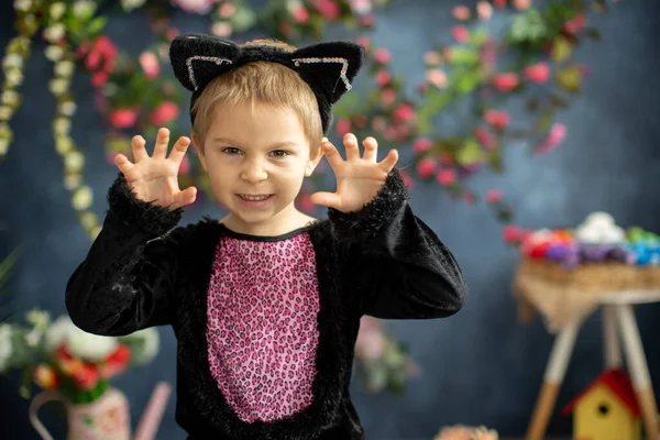Söt Förskola Barn Katt Karneval Kostym Pojke Klädd Som Svart — Stockfoto