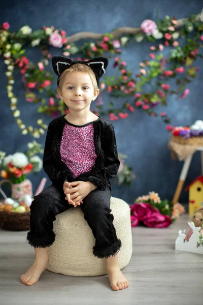 Lindo Niño Preescolar Traje Carnaval Gato Niño Vestido Como Gato —  Fotos de Stock