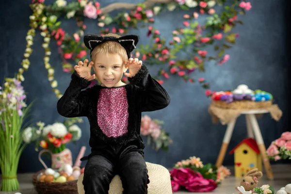 Söt Förskola Barn Katt Karneval Kostym Pojke Klädd Som Svart — Stockfoto