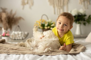 Evcil köpeğiyle birlikte evde yatakta oynayan sevimli bir anaokulu çocuğu.