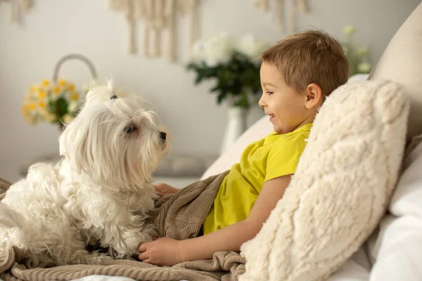 Симпатичный Маленький Дошкольник Своей Собакой Играющий Вместе Постели Дома — стоковое фото