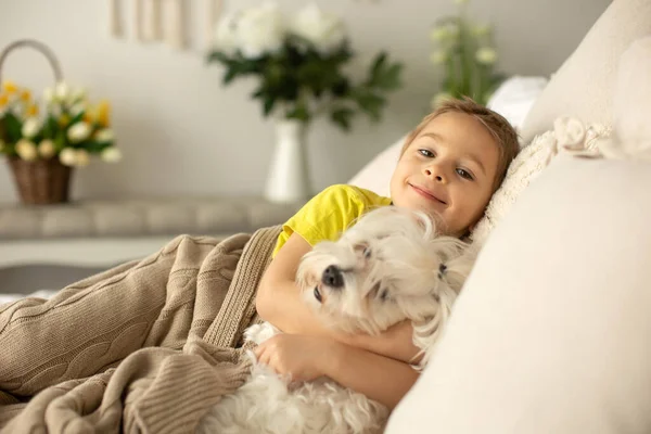 Lindo Niño Preescolar Con Perro Mascota Jugando Juntos Cama Casa —  Fotos de Stock