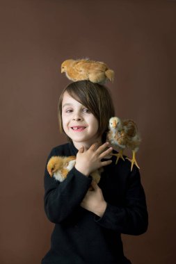 Stüdyoda tavukları olan genç bir çocuk, kahverengi arka planda izole edilmiş.