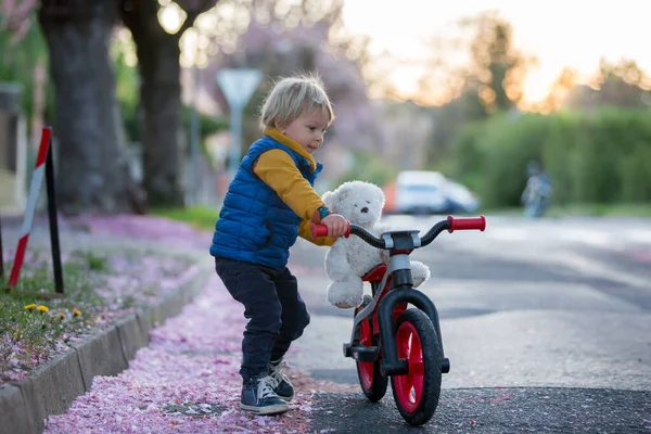 Kinder Spielen Auf Der Straße Mit Blühenden Rosa Kirschbäumen Bei — Stockfoto